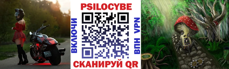 Галлюциногенные грибы Psilocybine cubensis продажа наркотиков Тулун